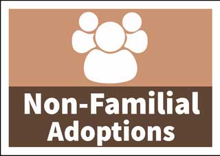 Non-Familial Adoptions