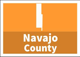 Navajo County Fees